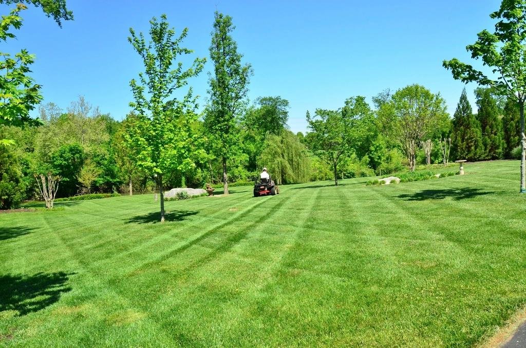 Lawn Care in Wausau