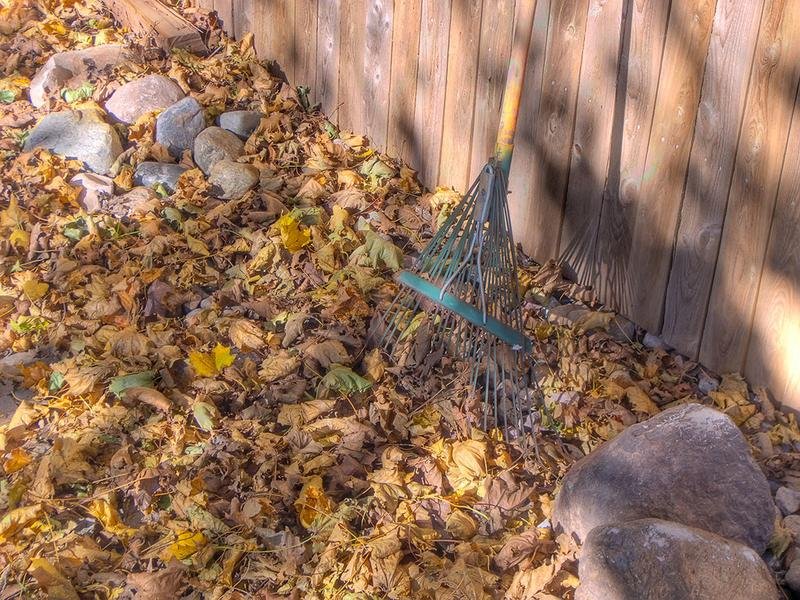 Spring/Fall Cleanup in Wausau